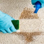 The Ultimate Stain-Busting Hack: Using Dishwashing Liquid for Quick Carpet and Upholstery Stain Removal