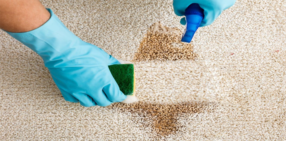 Carpet stain removal